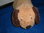 Nicotoy Simba 2in1 Kuschelkissen und Kuscheltier Hund,circa 34cm