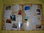 Wissen:Edeka WWF Mein Reisetagebuch-mit 180 Stickern umd die Welt