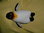 PetJes Plüschtier Pinguin,circa 16cm