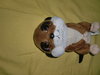 Petjes World Glubschi Plüschtier "Hamster",Stofftier,circa 18cm sitzend